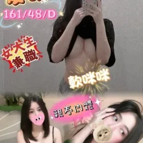 苗栗定點茶-麥萌