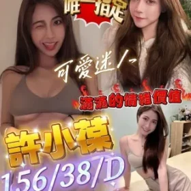 高雄定點茶-許小葆